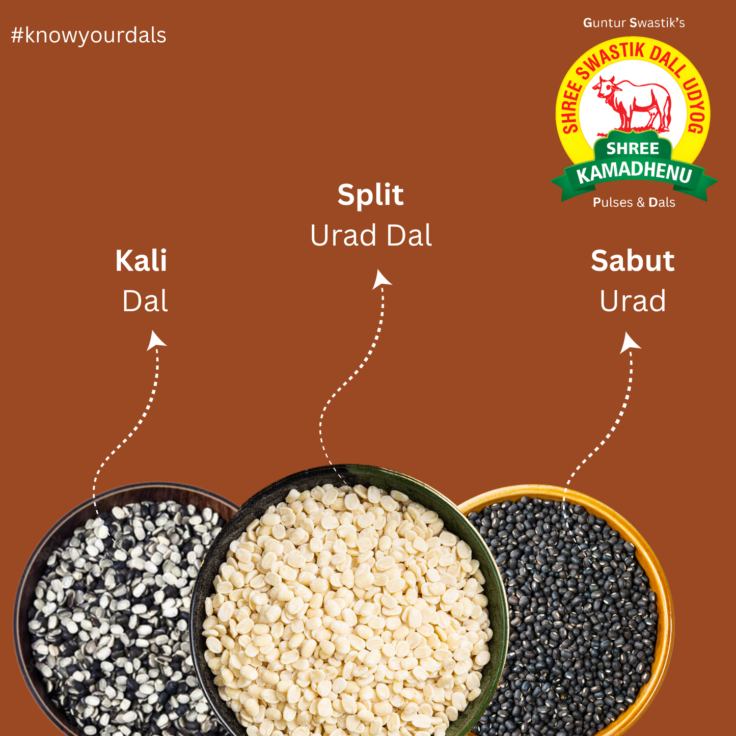 Combo of 1kg Urad Chilka Dal & 1kg Urad Dal & 1kg Sabut Urad (pack of 3)