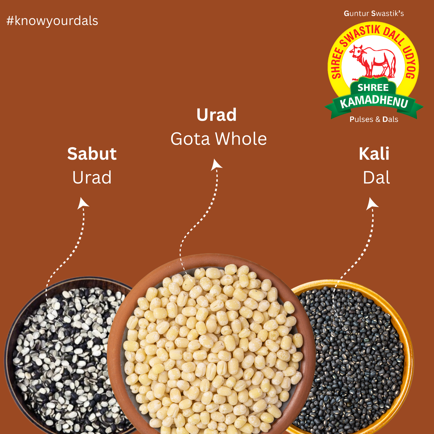 Combo of 1kg Urad Chilka Dal & 1kg Urad Gota & 1kg Sabut Urad (pack of 3)